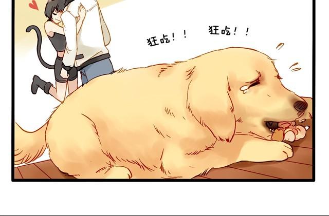 失恋的感觉-第8话