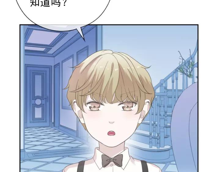 第50话 终于回来了(1/2)-第50话