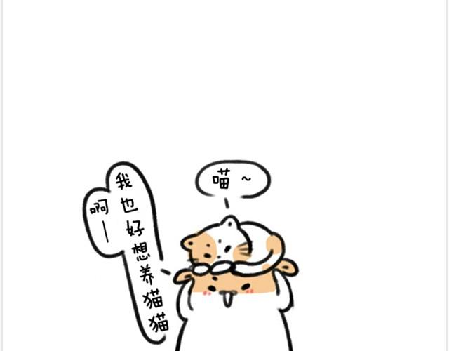 第2话 夏日泳衣穿搭-第2话