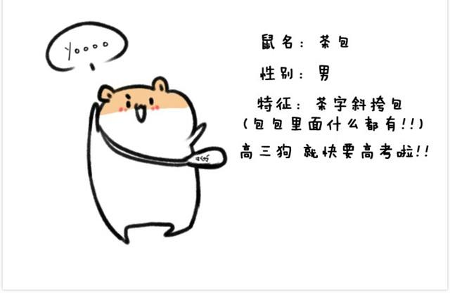 第2话 夏日泳衣穿搭-第2话