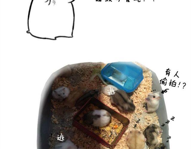 第11话 许愿池-第12话