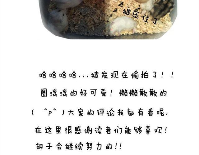 第11话 许愿池-第12话