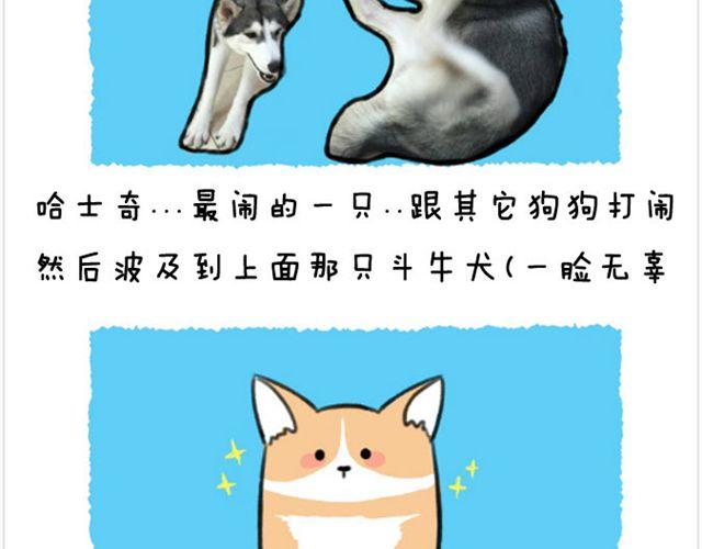 第23话 变成了擦屎鼠？-第24话