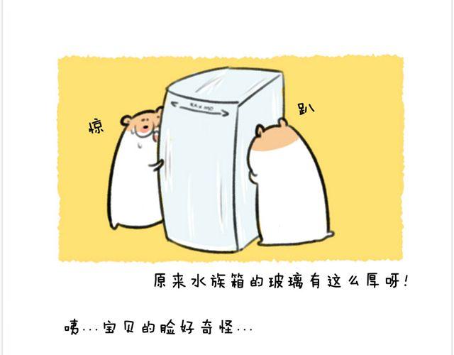 第25话 海洋公园（下）-第26话