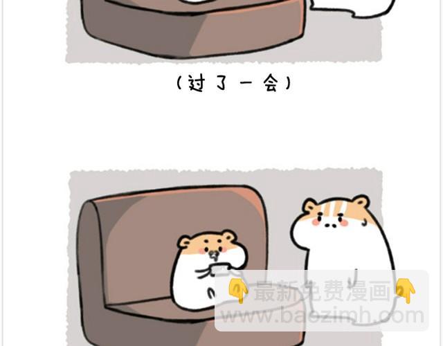 第6话 茶包是跆拳道黑带？-第6话