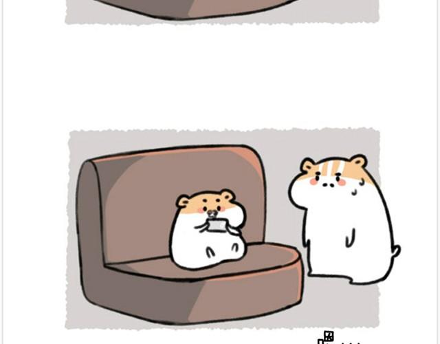 第6话 茶包是跆拳道黑带？-第6话