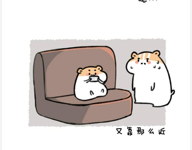 第6话 茶包是跆拳道黑带？-第6话