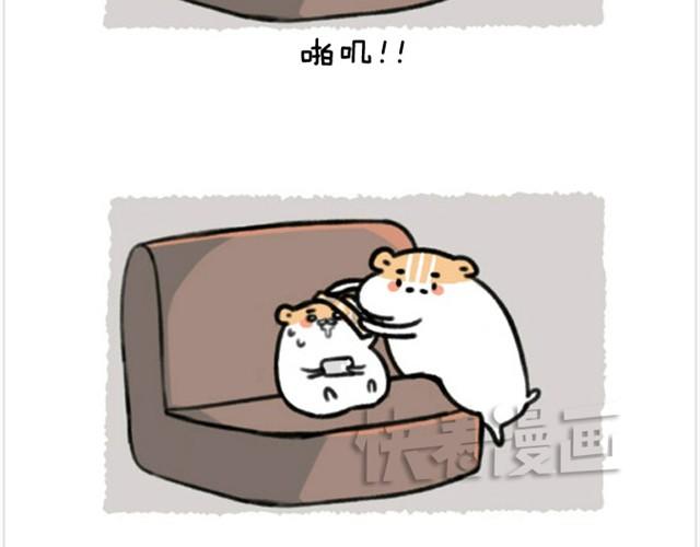 第6话 茶包是跆拳道黑带？-第6话