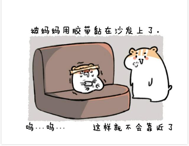 第6话 茶包是跆拳道黑带？-第6话