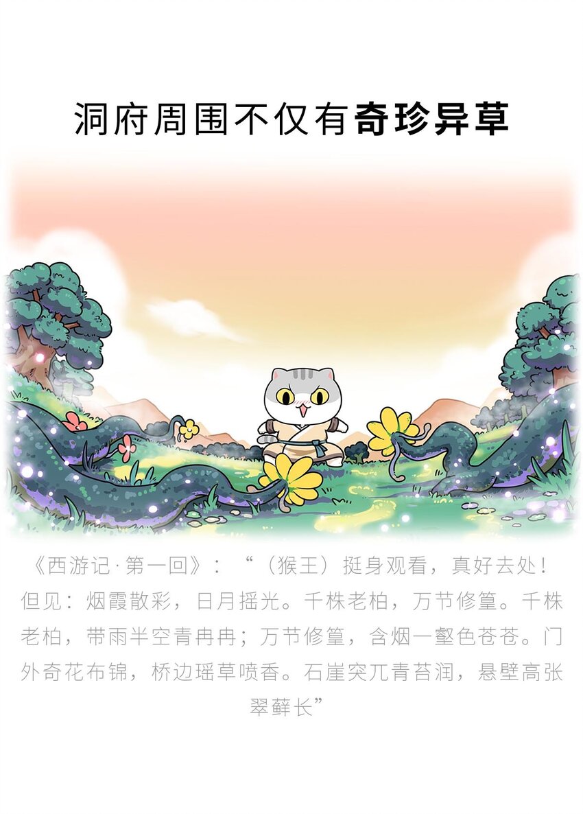 如果西遊是一羣喵 - 002 尋仙學藝(1/2) - 6