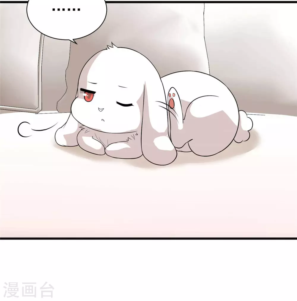 第22话 兔皮药膏-第26话