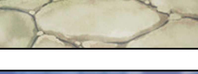 024 店名取号啦(1/3)-第24话