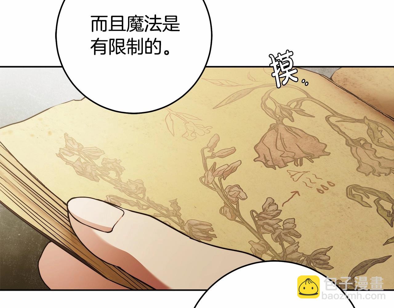 第41话 成为魔女的条件(1/3)-第42话