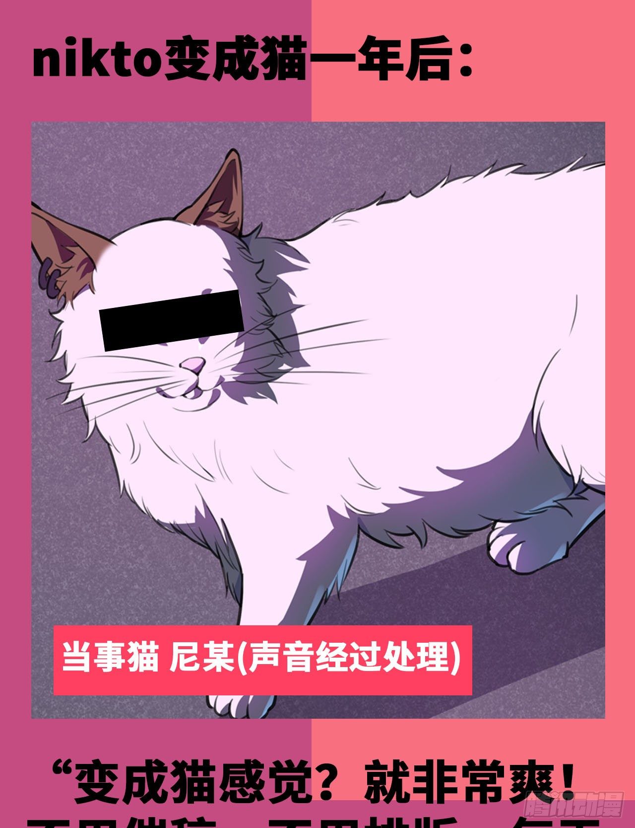 第29话：准备大闹一场了！-第32话