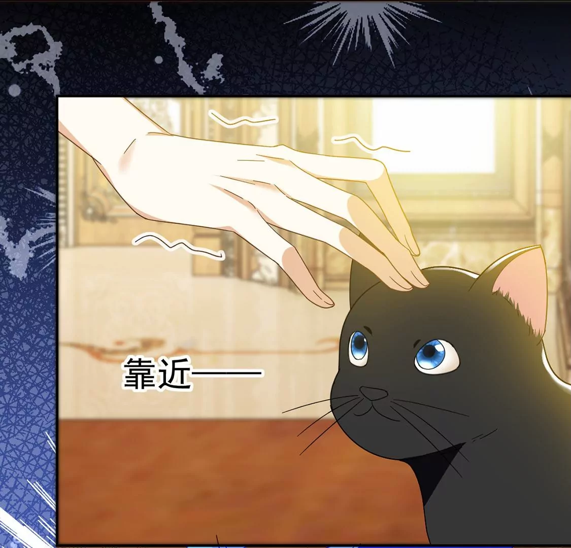 第7话 小狮子(1/2)-第8话