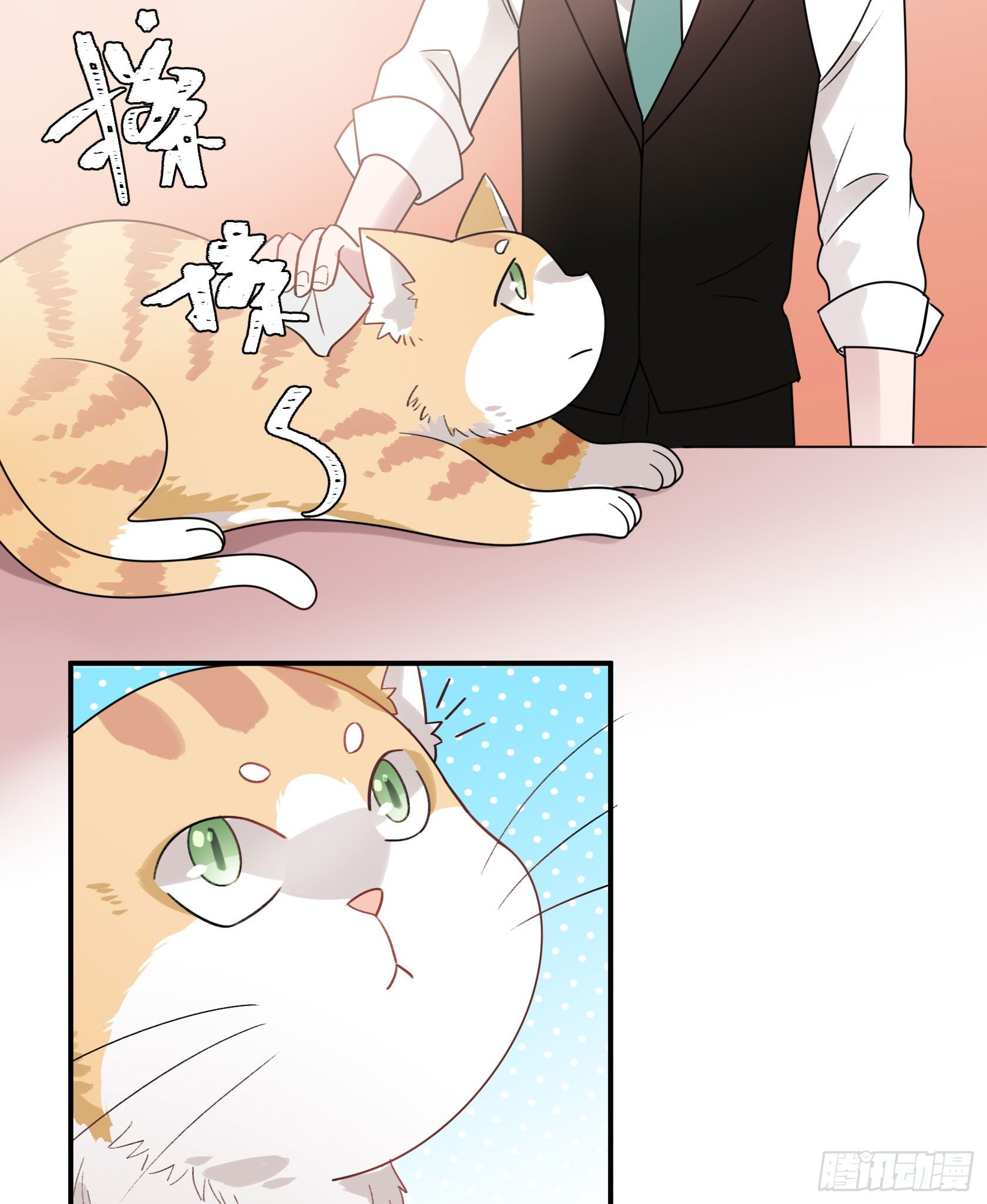 快、快叫救护车！(1/2)-第26话