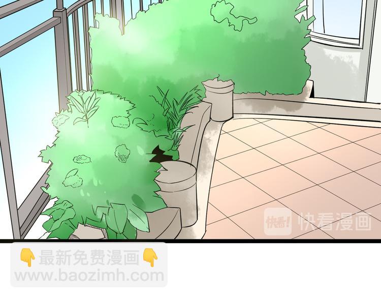 三界淘寶店 - 第150話 豔陽花開(2/3) - 1