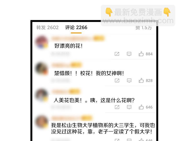 三界淘寶店 - 第150話 豔陽花開(2/3) - 5