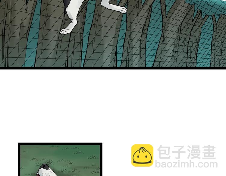 三界淘寶店 - 第64話 坑人追蹤犬(2/3) - 6