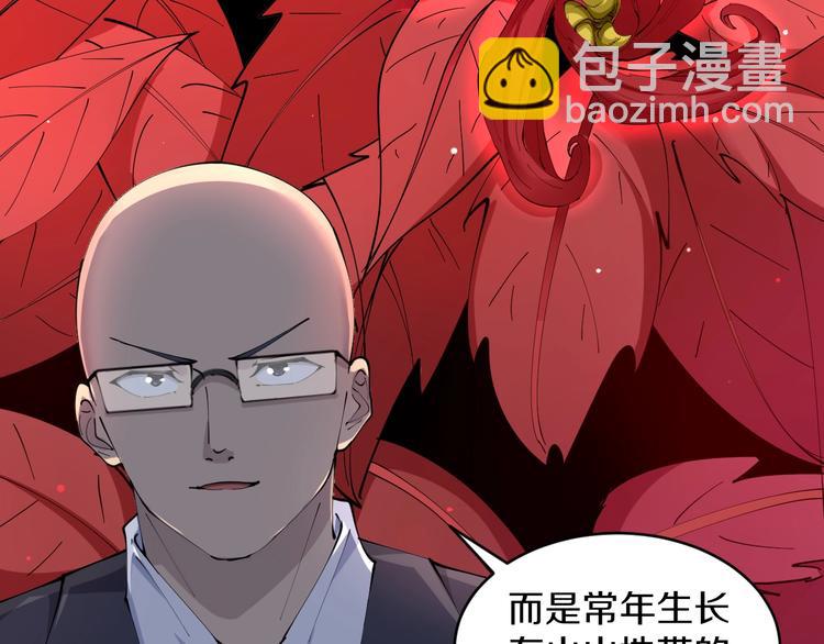 三界淘寶店 - 第68話 中國隊長(2/2) - 2