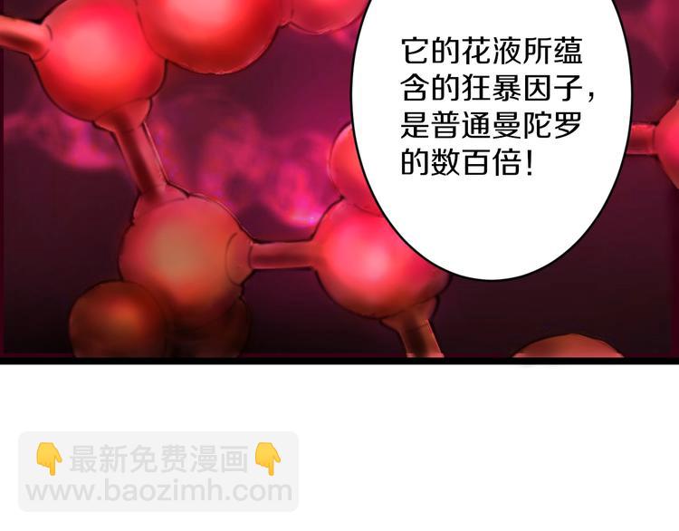 三界淘寶店 - 第68話 中國隊長(2/2) - 4