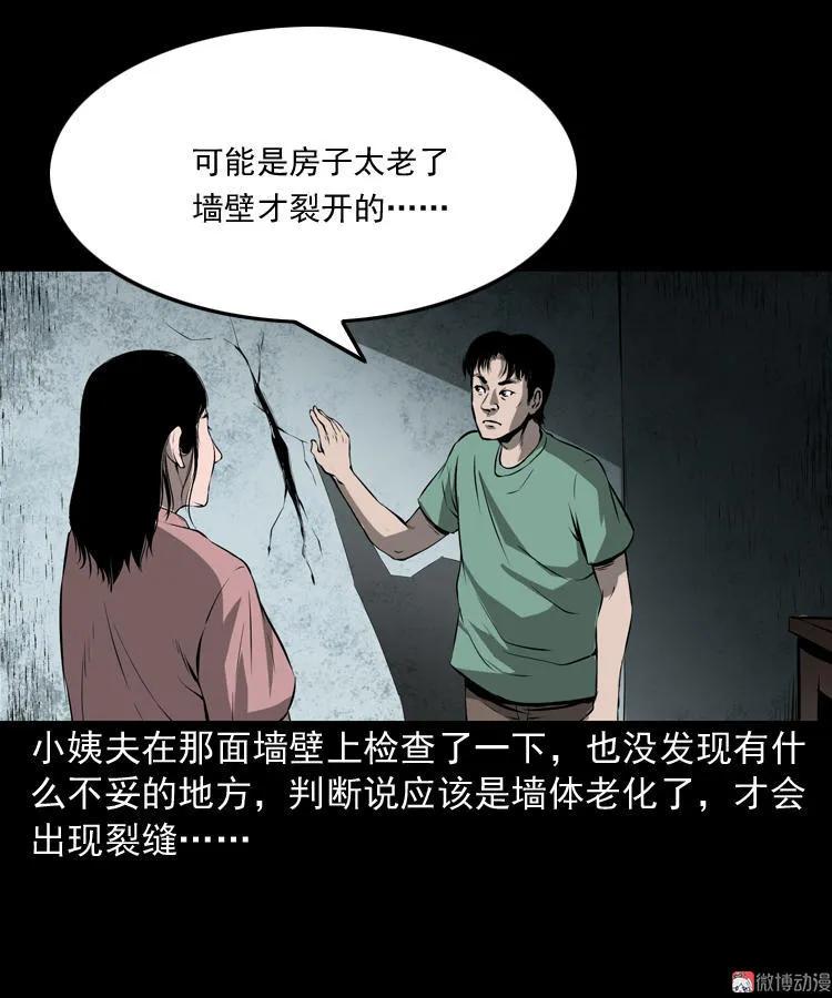 墙里的声音(1/2)-第110话