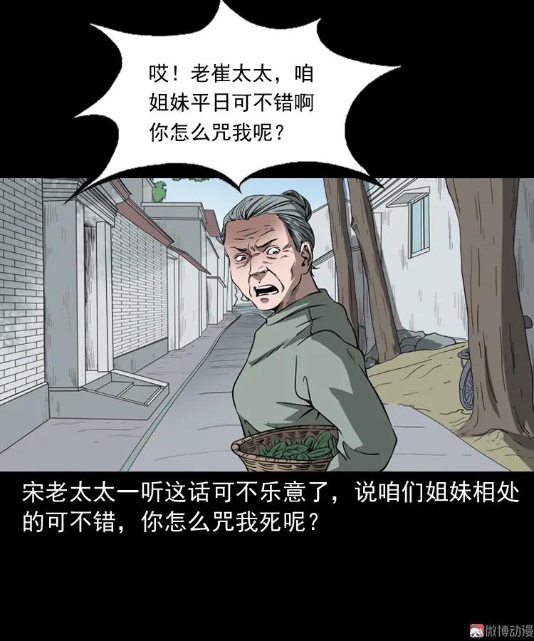 崔家老太太(1/2)-第162话