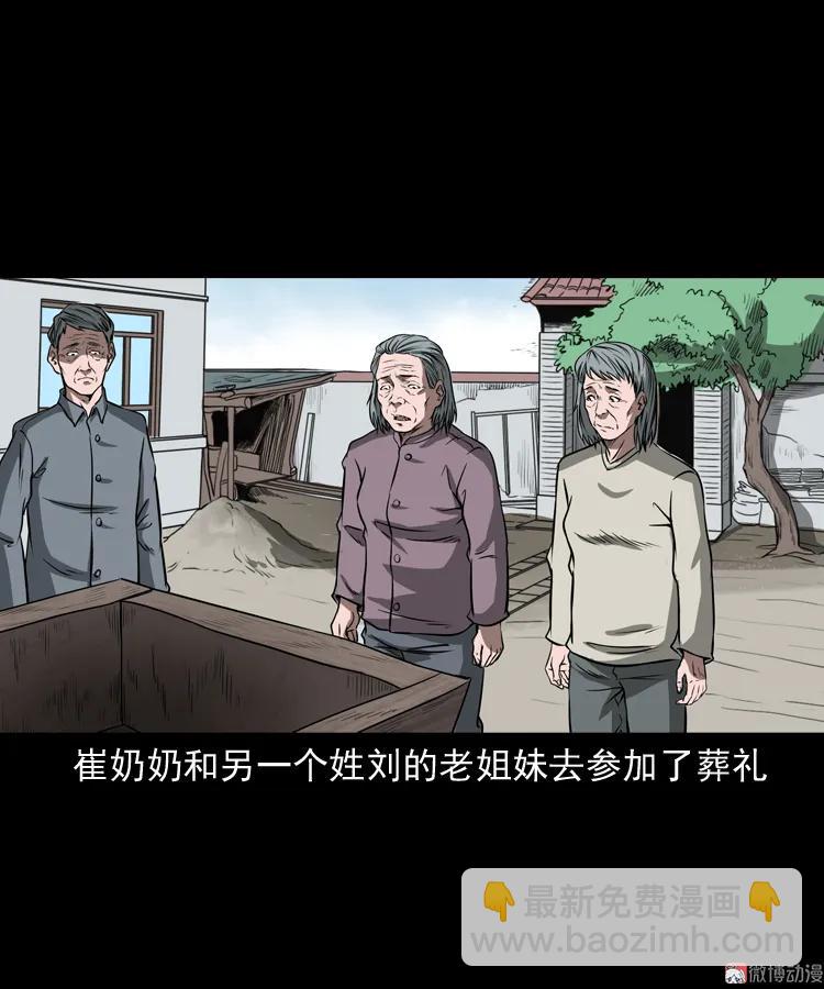 崔家老太太(1/2)-第162话