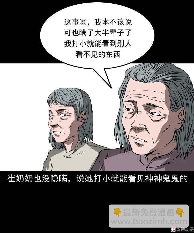 崔家老太太(1/2)-第162话