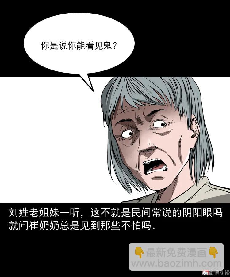 崔家老太太(1/2)-第162话