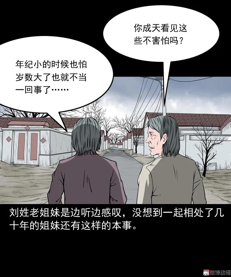 崔家老太太(1/2)-第162话