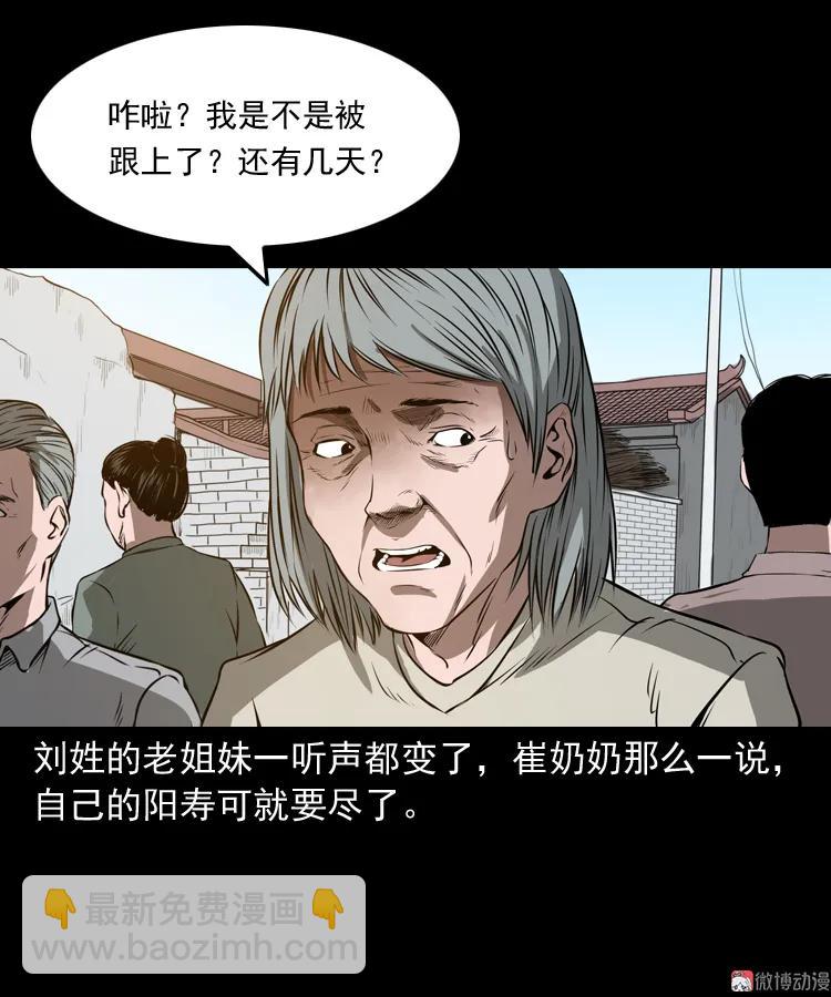 崔家老太太(1/2)-第162话