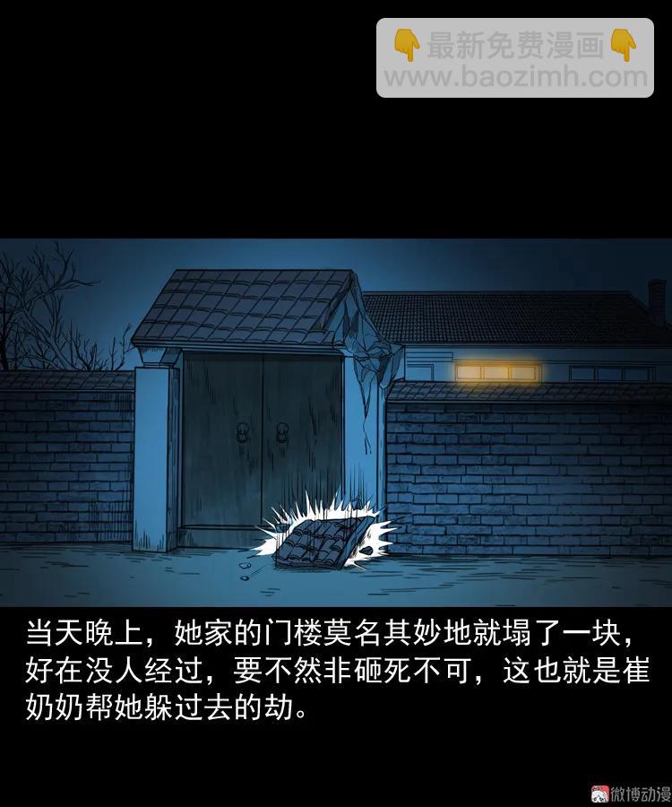 崔家老太太(1/2)-第162话