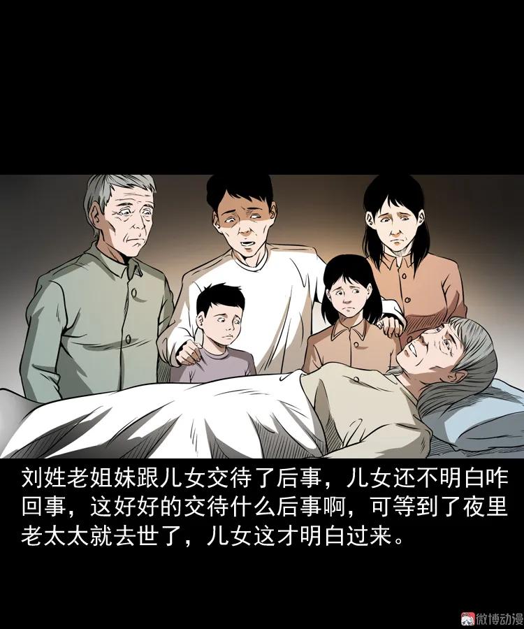 崔家老太太(1/2)-第162话