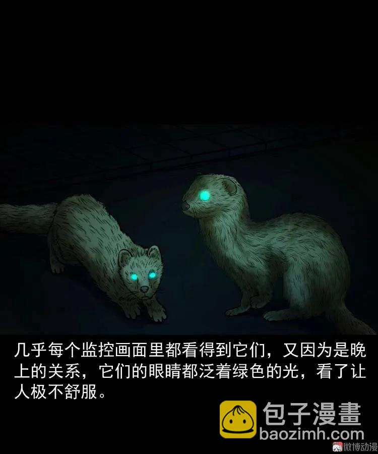 黄皮子医院(1/2)-第168话