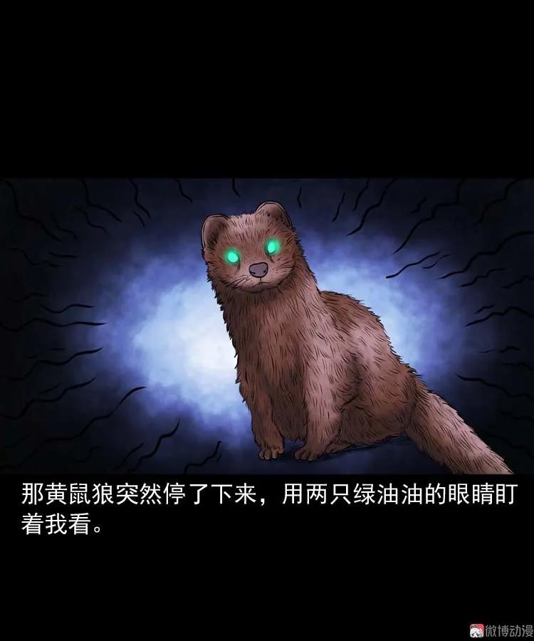 黄皮子医院(1/2)-第168话