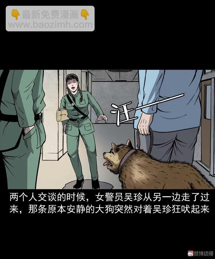 消失的妻子(1/3)-第184话