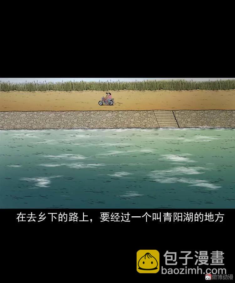青阳湖诡事(1/2)-第190话