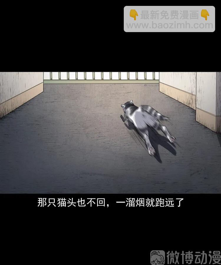 白头翁之猫灵(1/3)-第222话