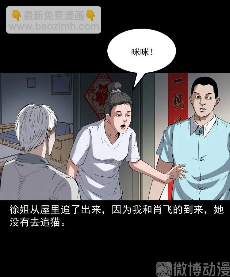 白头翁之猫灵(1/3)-第222话