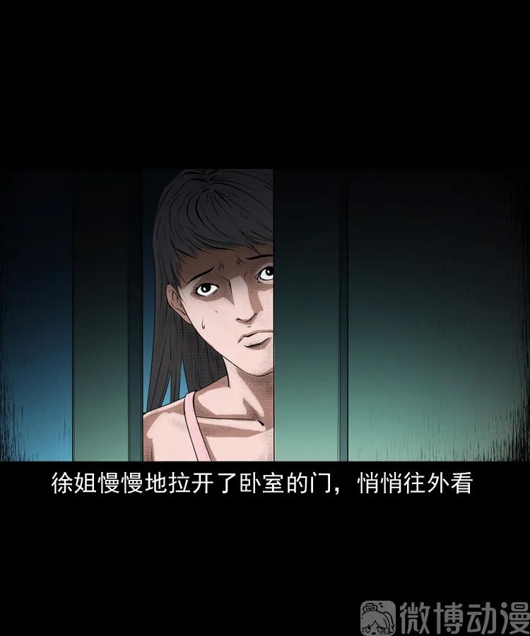 白头翁之猫灵(1/3)-第222话