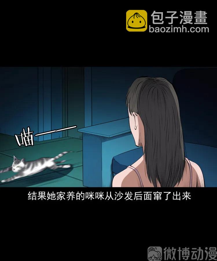 白头翁之猫灵(1/3)-第222话