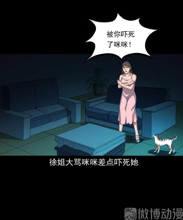 白头翁之猫灵(1/3)-第222话