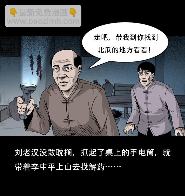 北瓜（下）(1/2)-第24话