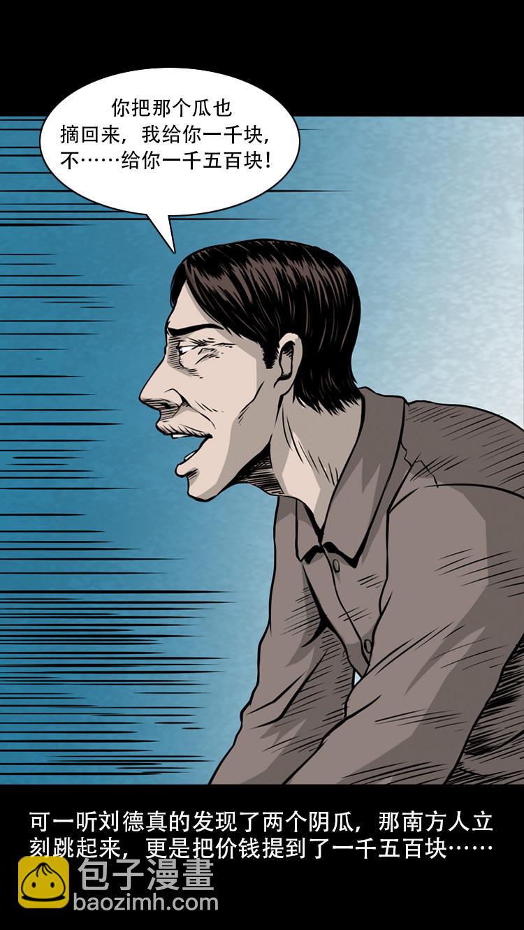 北瓜（下）(1/2)-第24话