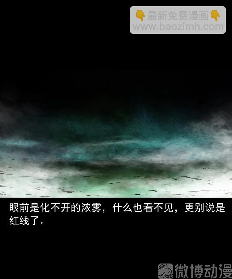 白头翁之抢魂（下）(1/2)-第232话