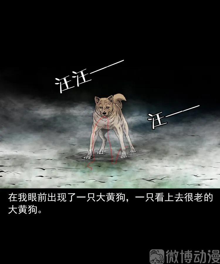 白头翁之抢魂（下）(1/2)-第232话