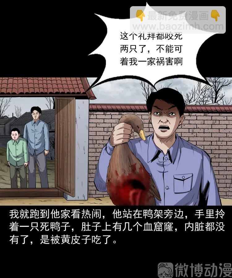 仙家异闻(1/2)-第238话