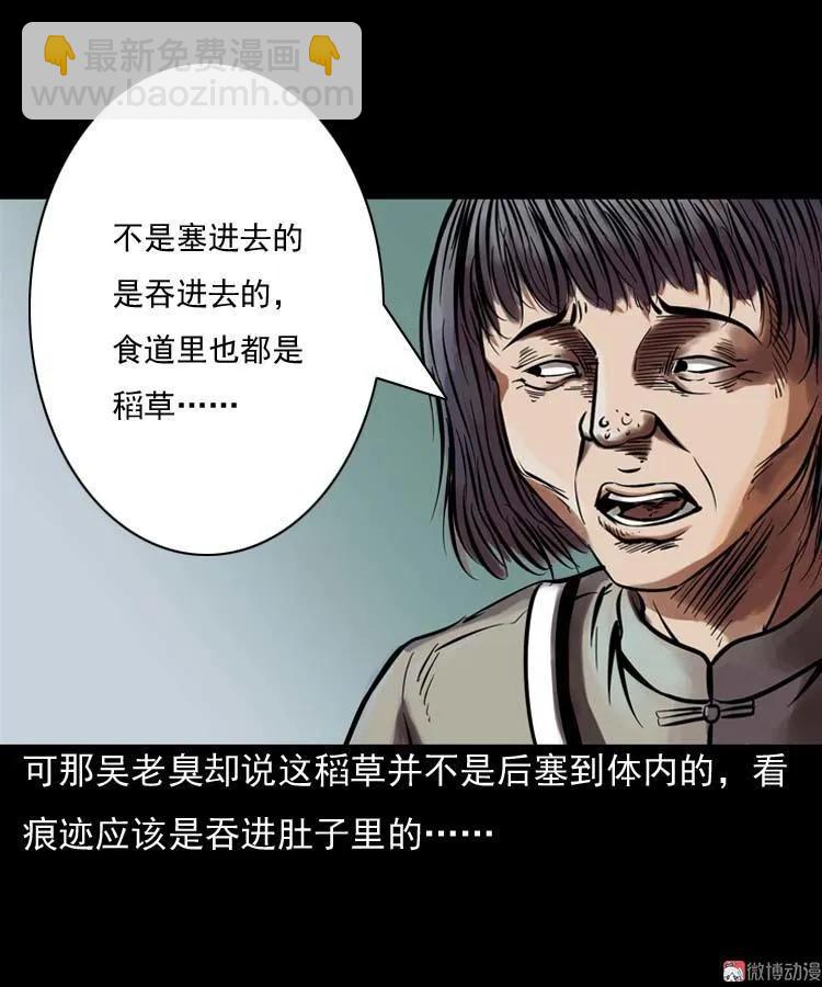 稻草人(1/2)-第42话