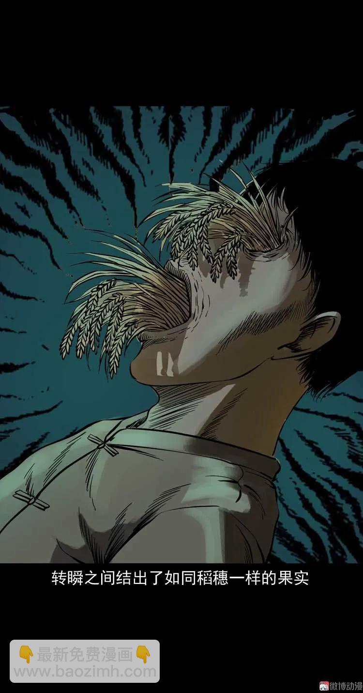 稻草人(1/2)-第42话